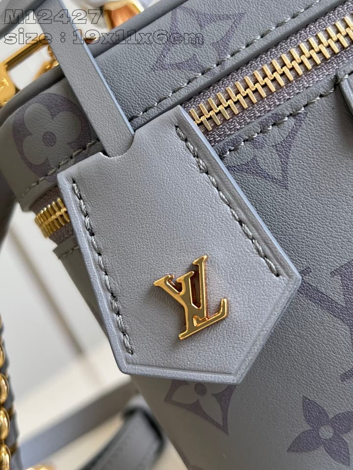 Louis Vuitton Vanity Chain Pouch Handbag – Fall/Winter 2024