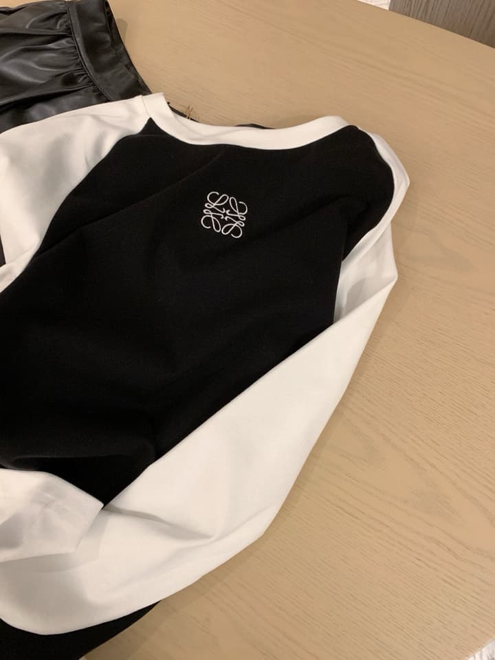 Loewe Classic Logo Embroidered Color-block Crewneck Sweatshirt in Black