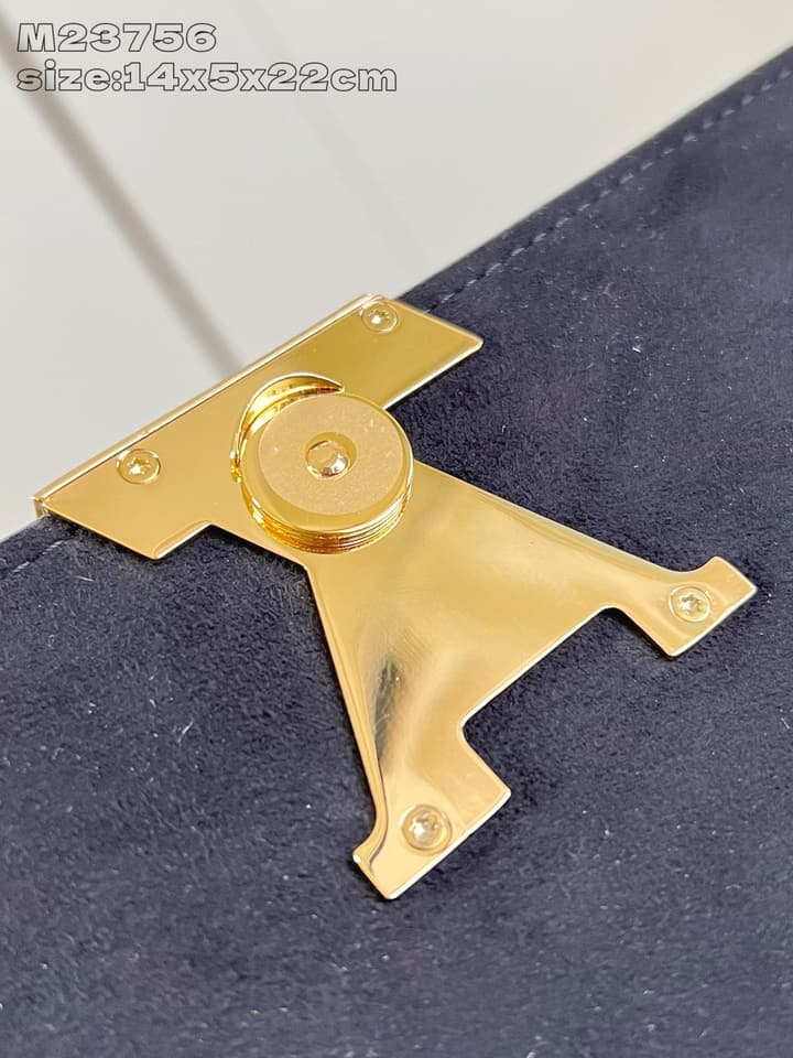 Louis Vuitton Pochette Louise Chain Bag in Beige