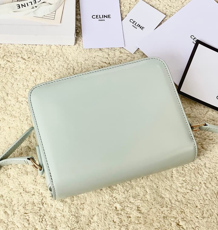 Celine Triomphe Box Calfskin Bag in Burnt Orange