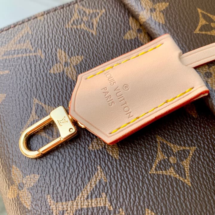 Louis Vuitton Cluny Mini Handbag in Monogram Canvas With Natural Leather Trim
