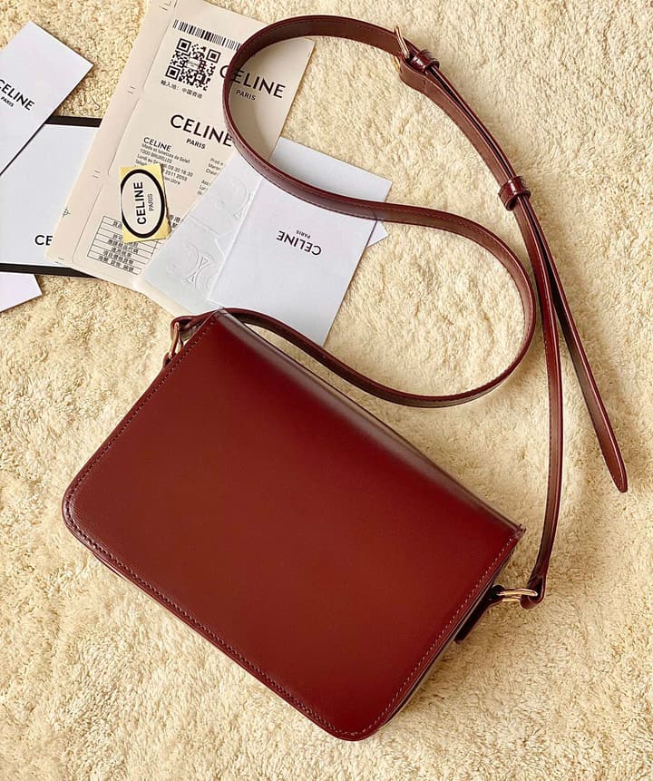 Celine Triomphe Box Calfskin Bag in Burnt Orange