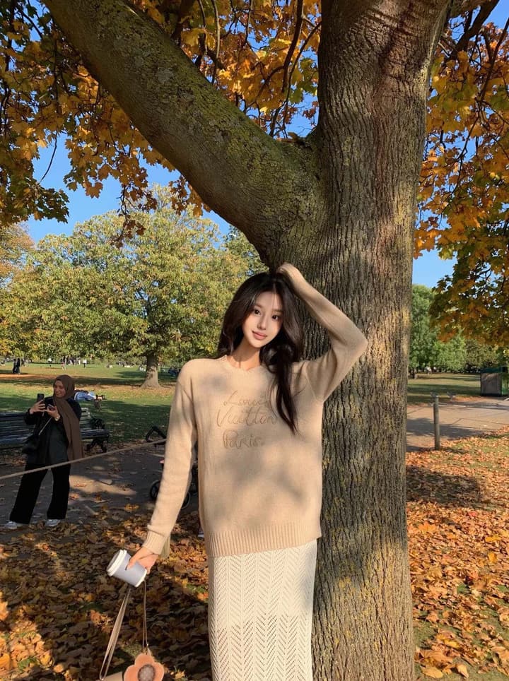 Louis Vuitton Embroidered Knit Sweater in Khaki