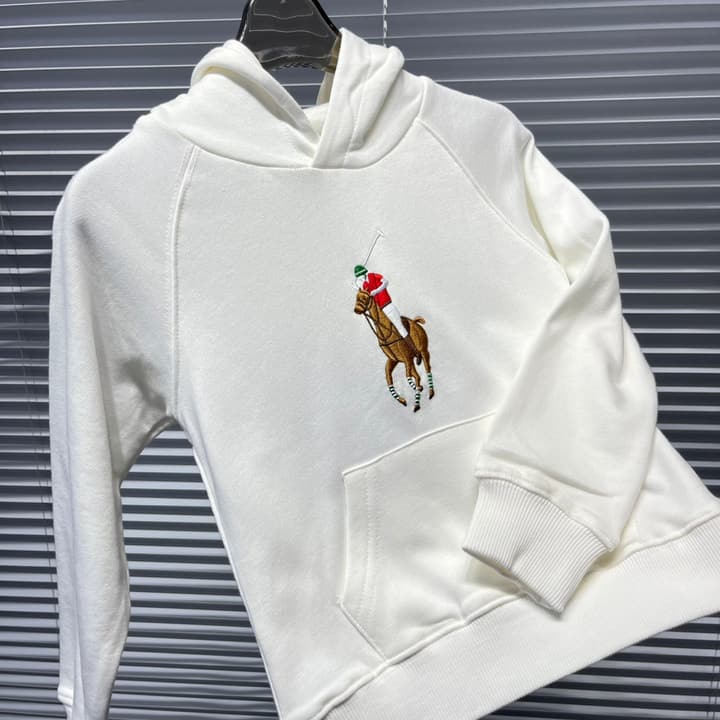 Ralph Lauren Embroidered Pony Terry Hooded Sweatshirt – Kids Collection in Bright Blue
