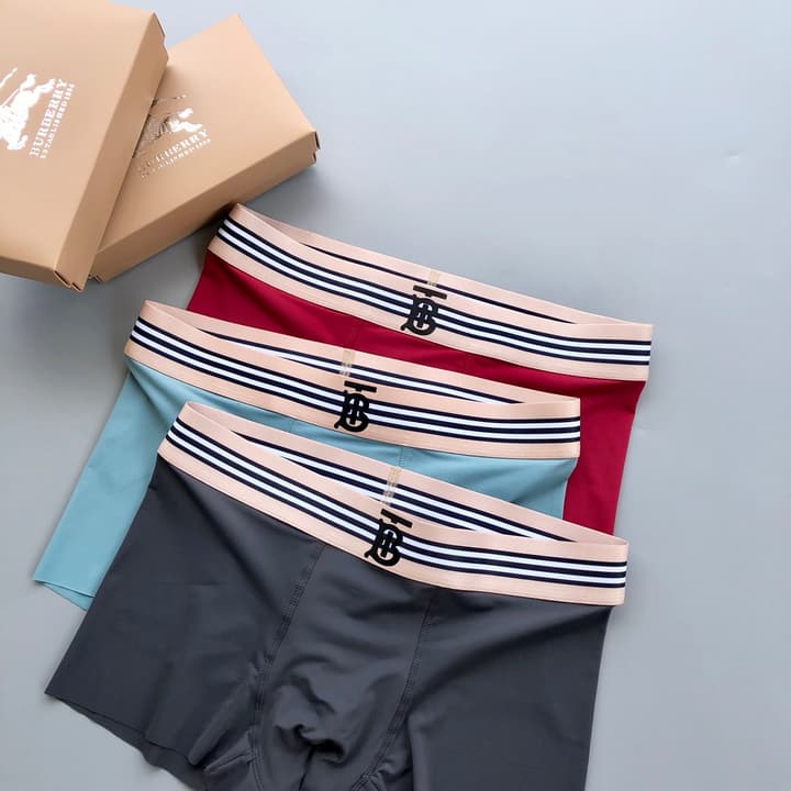 Burberry Classic TB Ice Silk Underwear Set