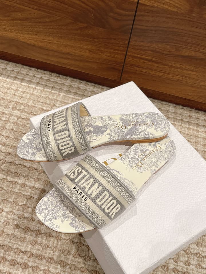 Dior Oblique Embroidered Mules