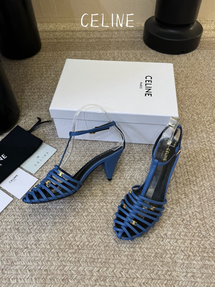 Celine Triomphe Ankle Strap Sandals – Spring/Summer Collection in Black - Large Logo Flats