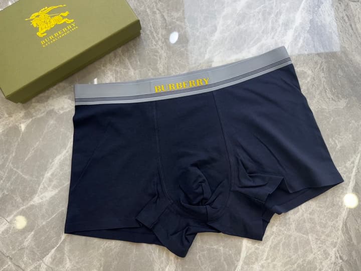 Burberry Men's Seamless Cotton Boxer Briefs – 3-Pack