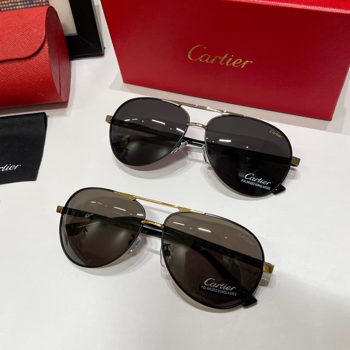 Cartier Polarized Sunglasses – 2024 Collection in Gold