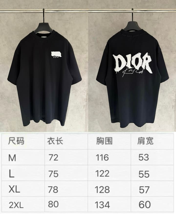Dior Patchwork Embroidered Short-Sleeve T-Shirt in Black