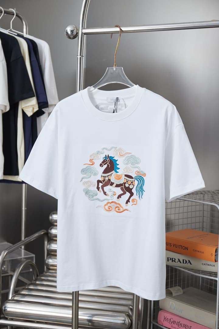 Dior Cloud Warhorse Logo Embroidered T-Shirt – Early Spring Year of the Horse Limited Edition – 26SS in Black