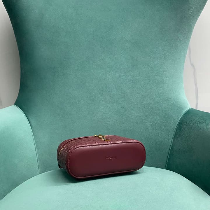 Saint Laurent Gaby Mini Vanity Bag in Apricot