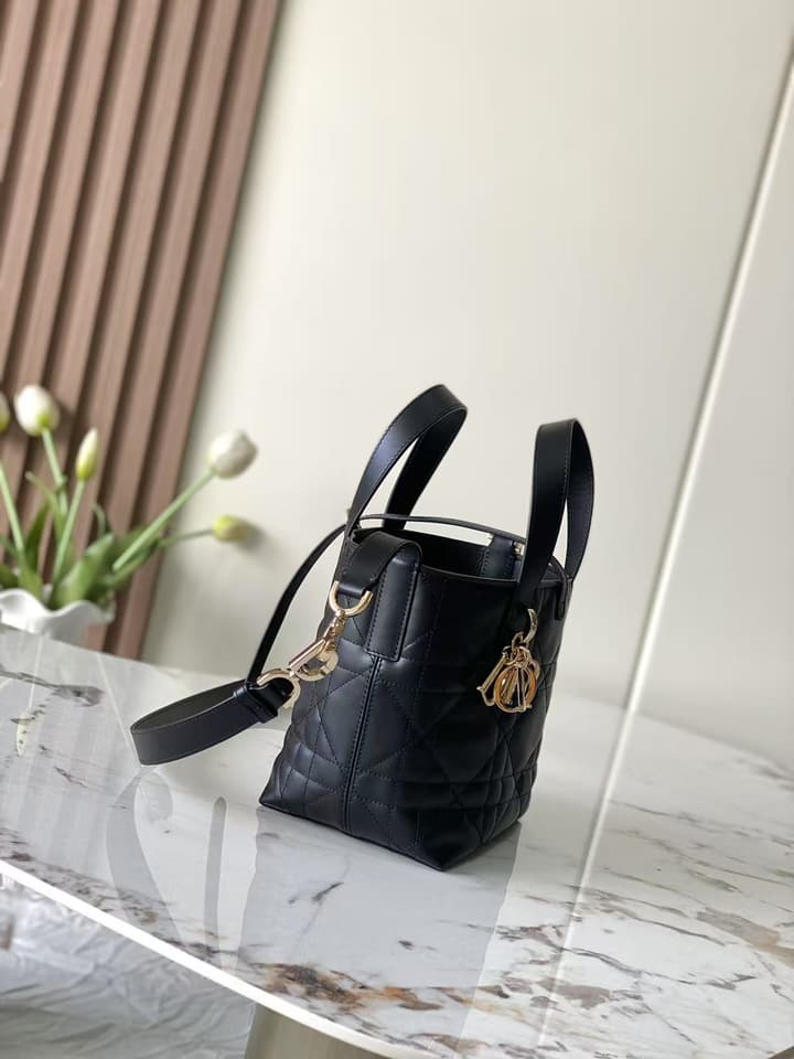 Dior Toujours Vertical Handbag