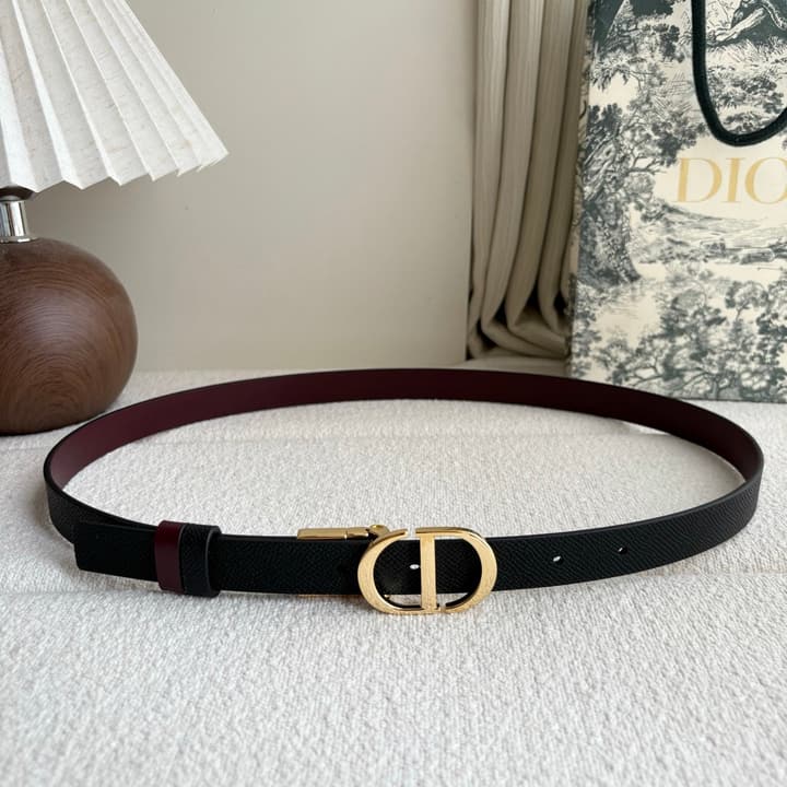 Dior Reversible Calfskin CD Buckle Belt in Black/burgundy With Gold Hardware