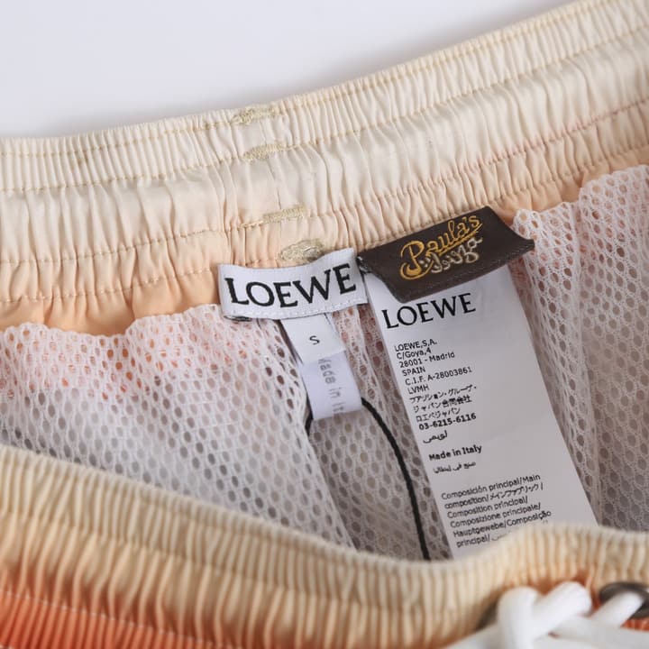 Loewe Gradient Stripe Swim Trunks in Multicolor Gradient Stripe