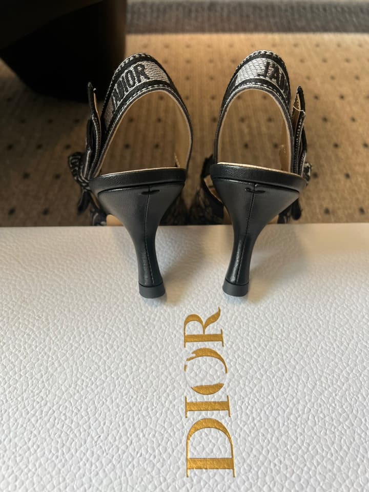 Dior Classic Multi-Color Embroidered Pumps in Black Silver Sparkle