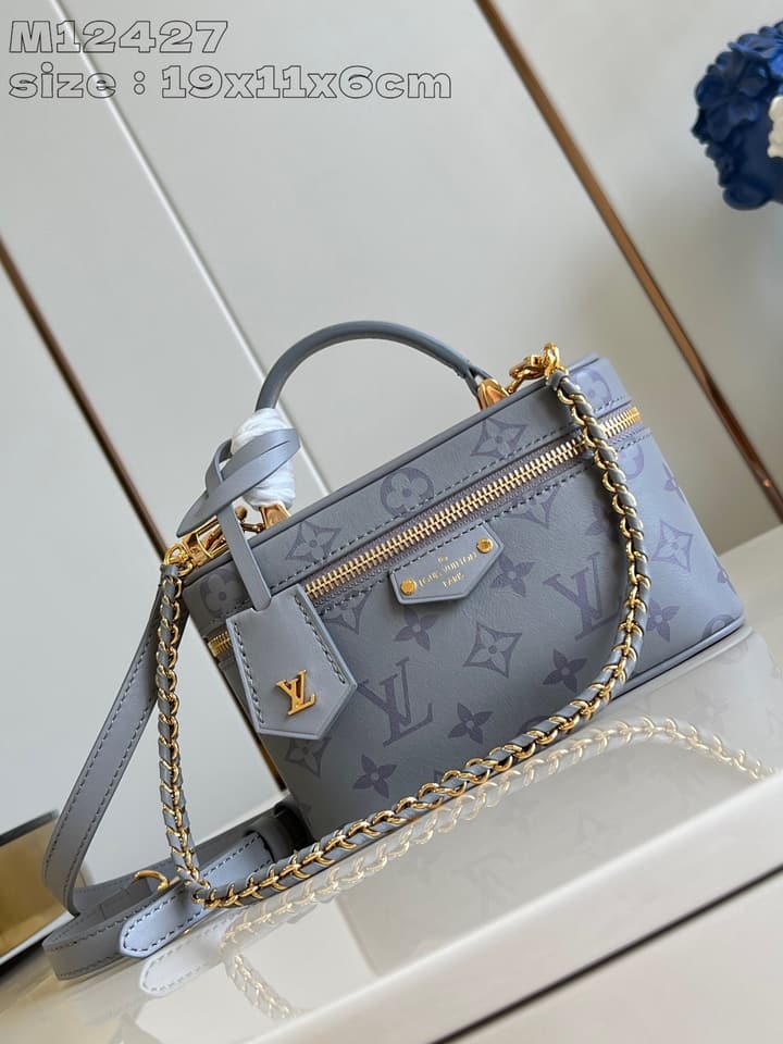 Louis Vuitton Vanity Chain Pouch Handbag – Fall/Winter 2024