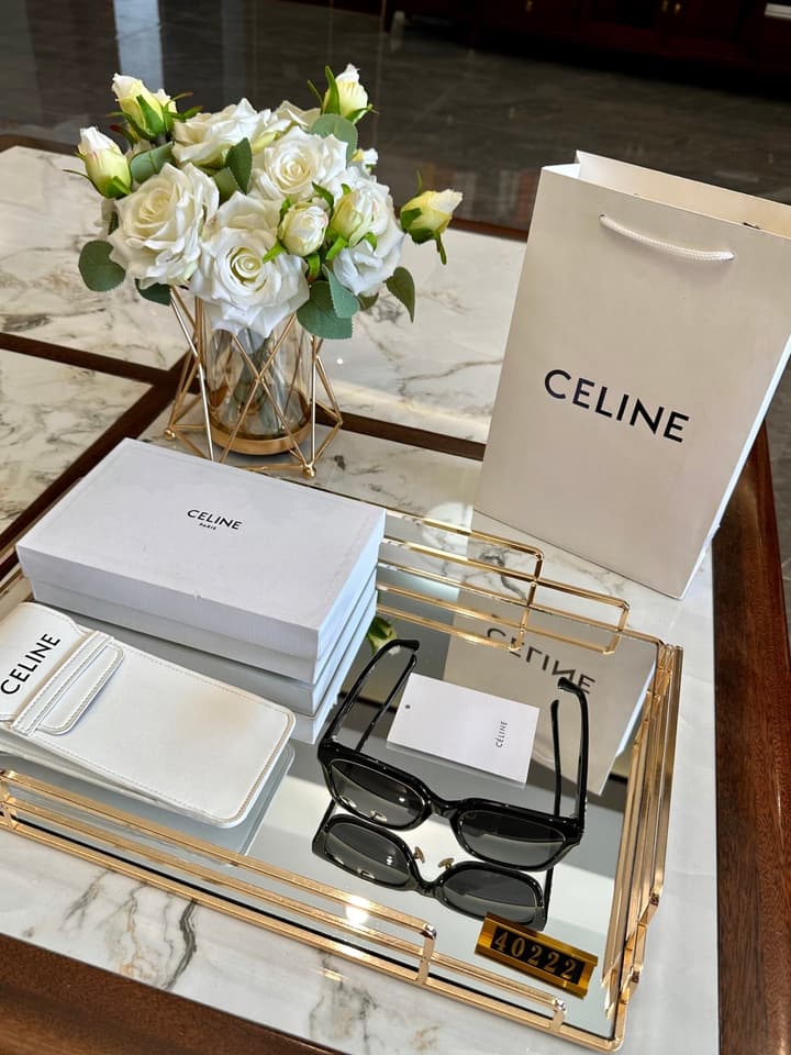 Celine Acetate Polarized Sunglasses