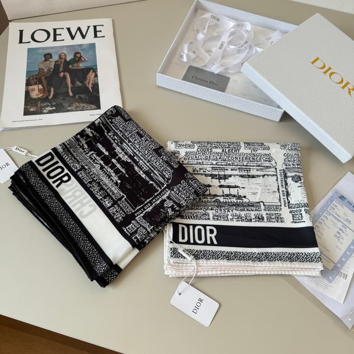 Dior Paris Map Silk Scarf – 2025 Spring/Summer Collection