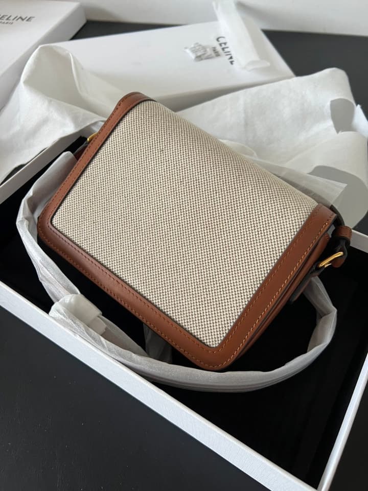 Celine Triomphe Teen Box Leopard Handbag