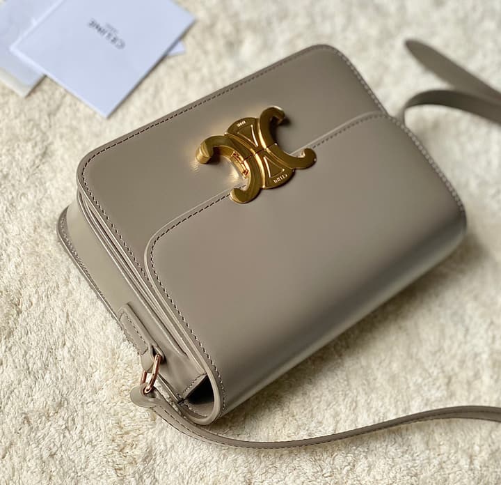 Celine Triomphe Box Calfskin Bag in Burnt Orange