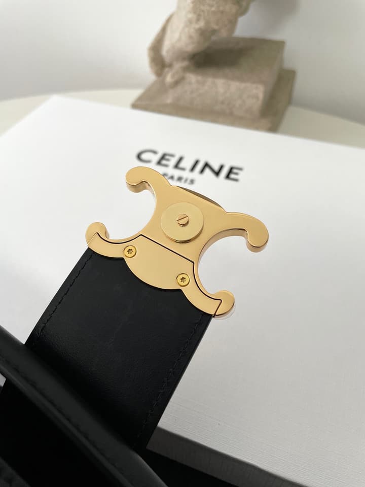 Celine Louise Triomphe Bucket Bag in Black