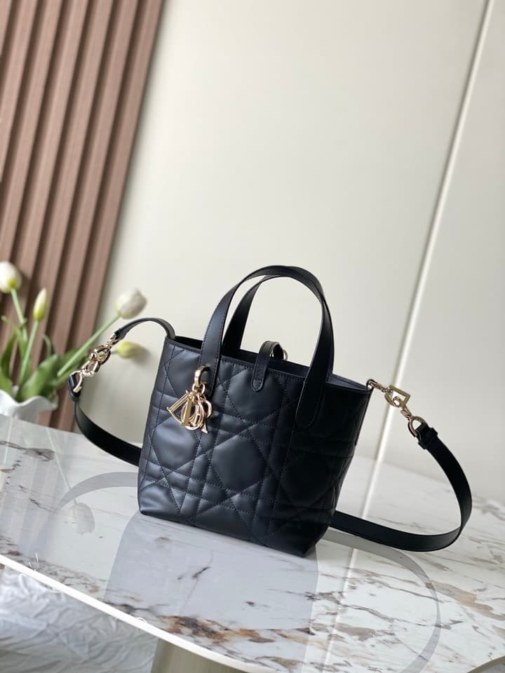 Dior Toujours Vertical Handbag