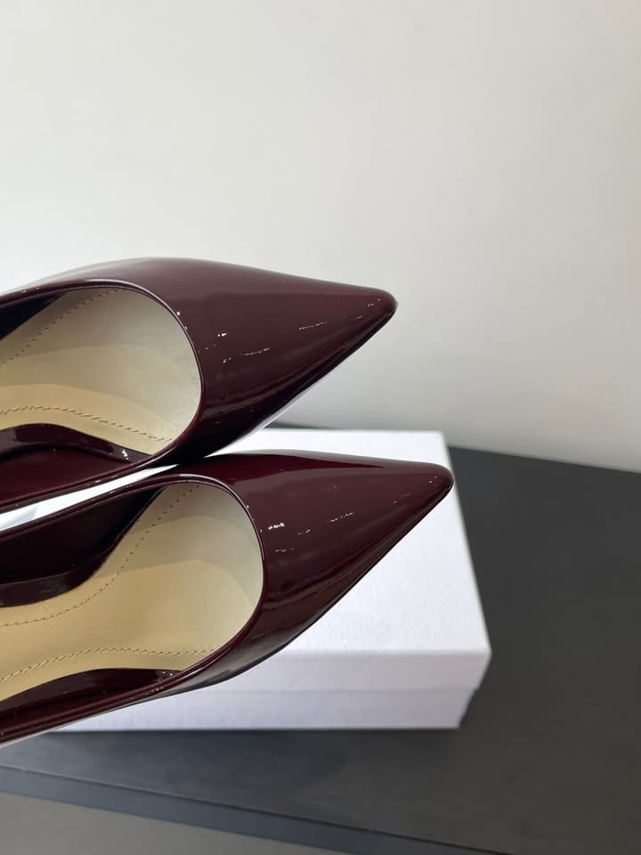 Dior Pointed High-Heel Pumps – 25SS Spring/Summer Collection in Patent Burgundy