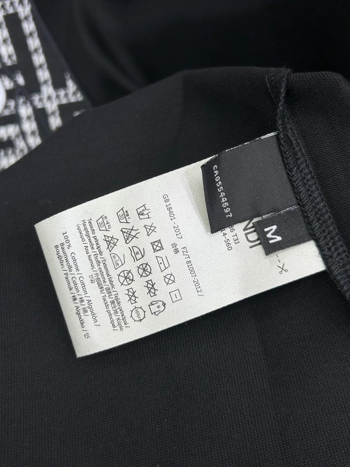 Fendi Logo and Graphic Cotton T-Shirt – 2026SS in Black Dog Graphic