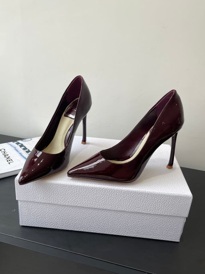 Dior Pointed High-Heel Pumps – 25SS Spring/Summer Collection in Patent Burgundy