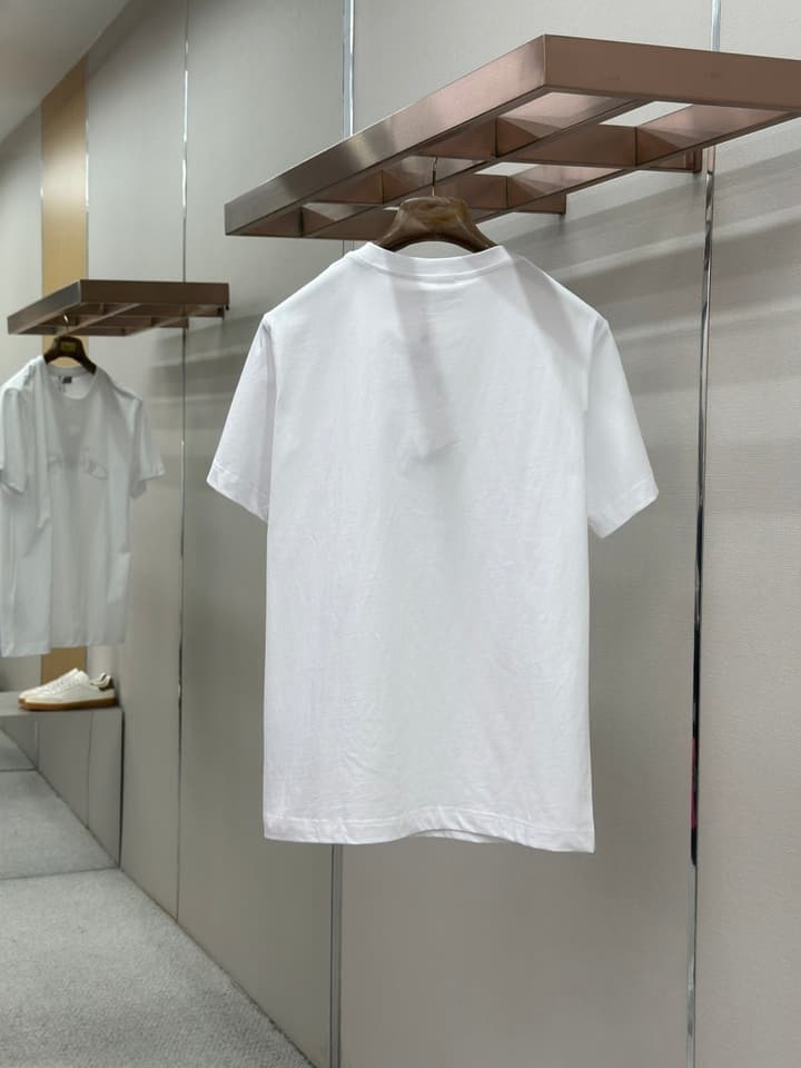 Dior Pattern Embroidered Crewneck T-Shirt in Washed Grey