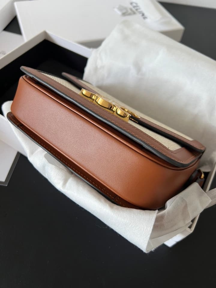 Celine Triomphe Teen Box Leopard Handbag