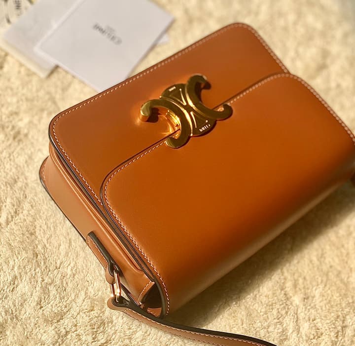 Celine Triomphe Box Calfskin Bag in Burnt Orange