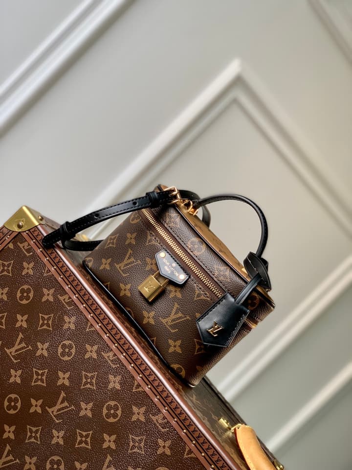 Louis Vuitton Vanity Chain Pouch