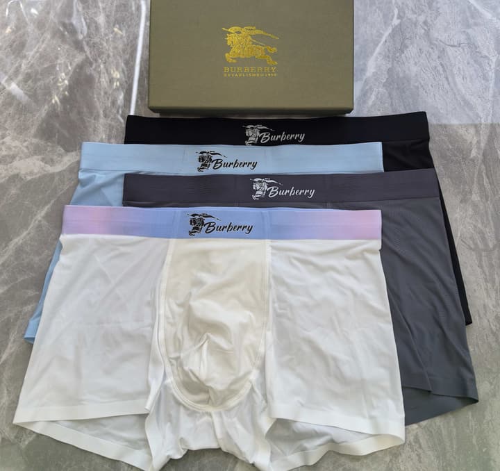 Burberry Seamless Ice Silk Underwear 3-Pack