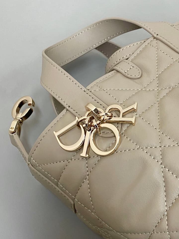 Dior Toujours Mini Vertical Bucket Bag