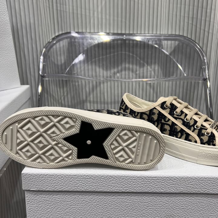 Dior Classic Embroidered Casual Sneakers