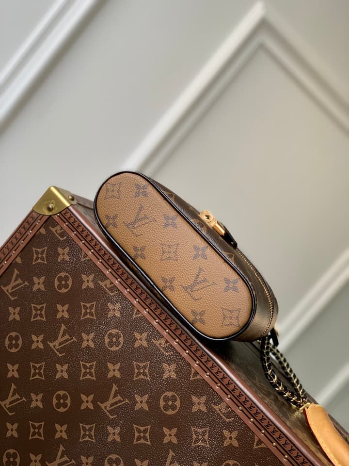 Louis Vuitton Vanity Chain Pouch