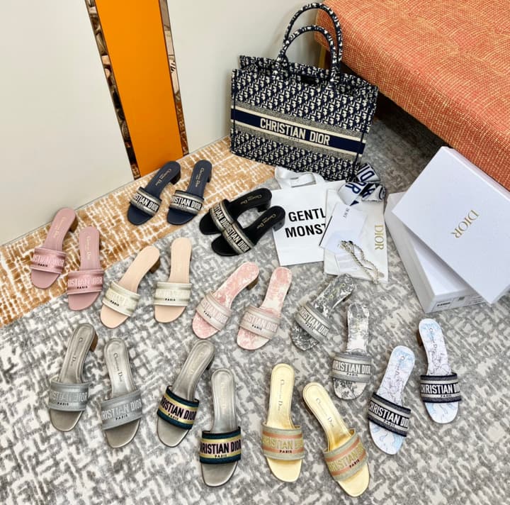 Dior Ladies Oblique Embroidered Slides – Spring/Summer Collection
