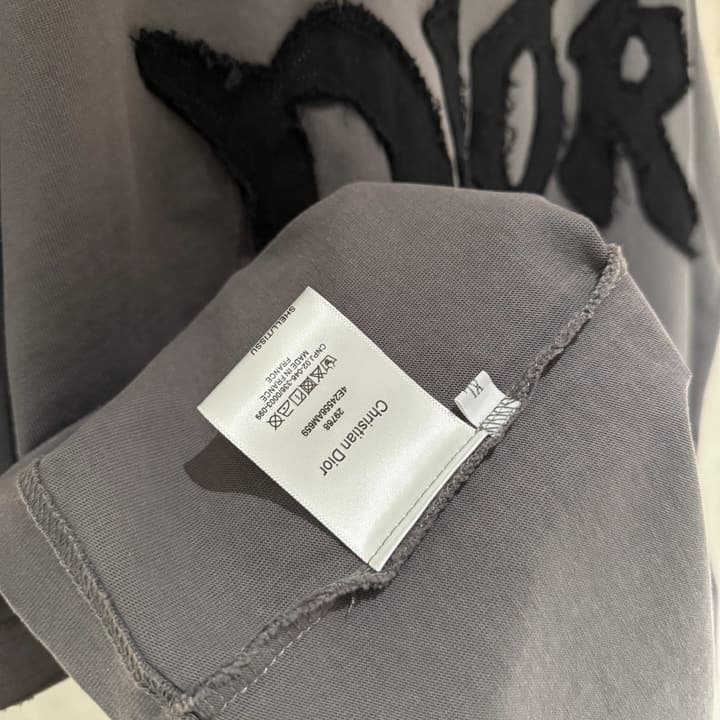 Dior Patch Embroidered Heavyweight T-Shirt in Grey