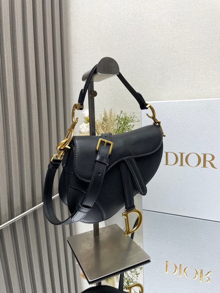 Dior Saddle Bag in Beige