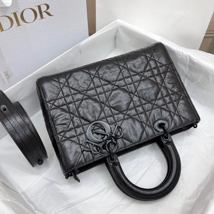 Dior Lady D-Sire My ABCDior Handbag – 24SS in Black Pleated Leather