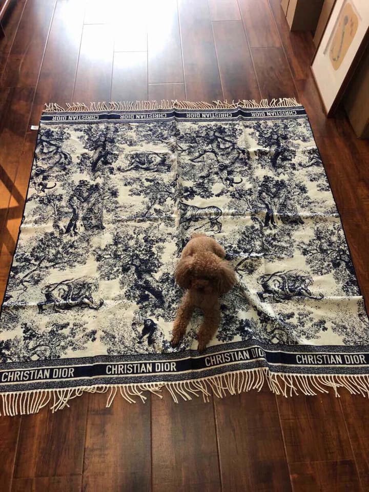 Dior Animal Print Cashmere-Wool Scarf