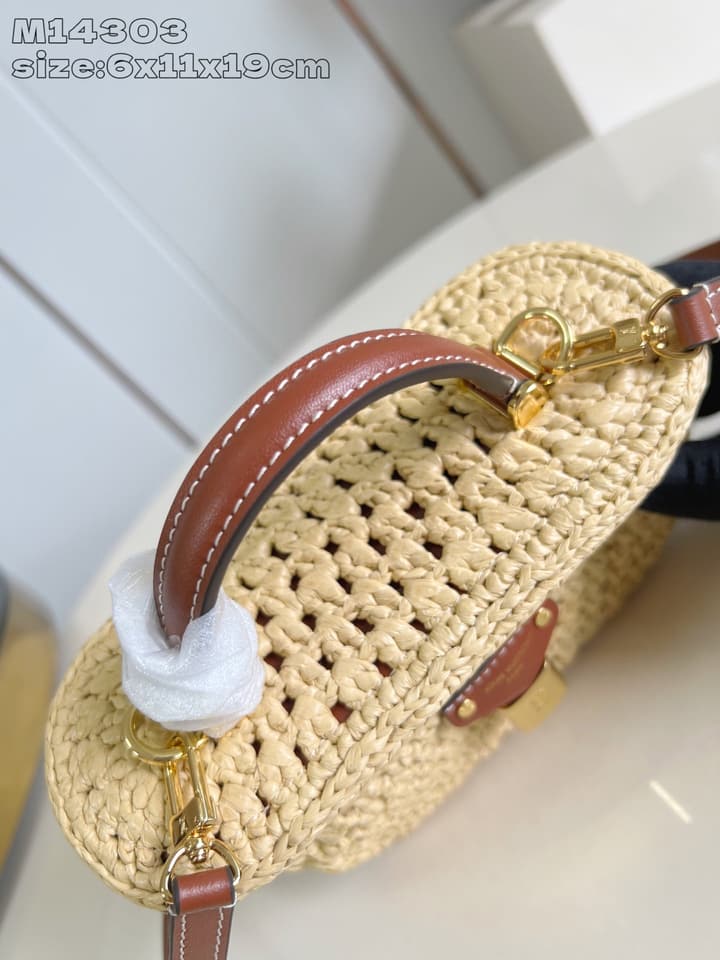 Louis Vuitton Vanity Chain Pouch – 2024 Collection