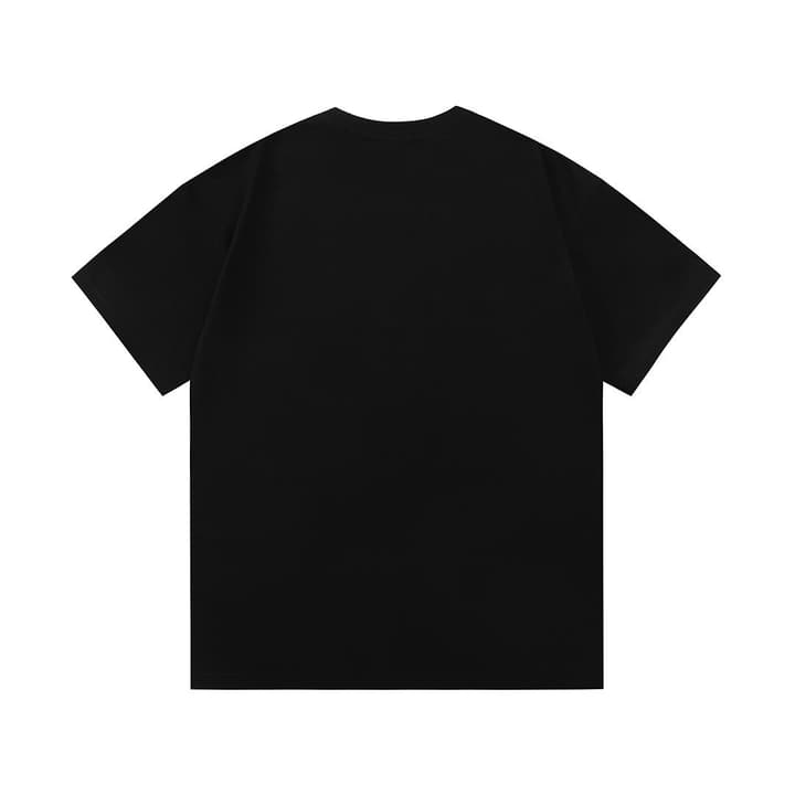 Dior x Stone Island Distressed Logo T-Shirt – 2025SS in Black