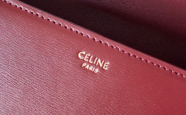 Celine Triomphe Box Calfskin Bag in Burnt Orange