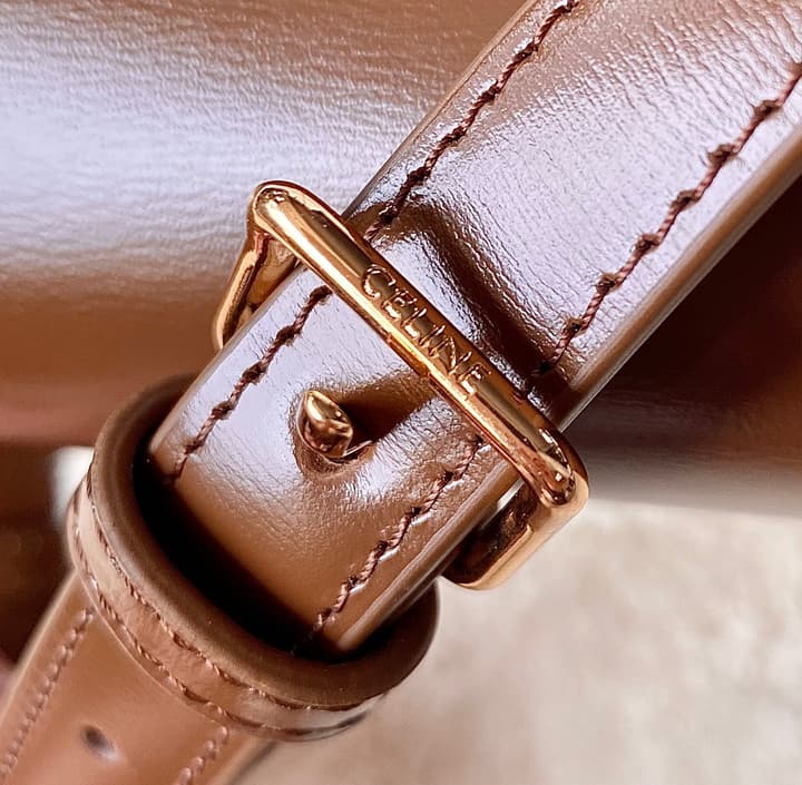 Celine Triomphe Box Calfskin Bag in Burnt Orange