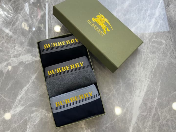 Burberry Men's Seamless Cotton Boxer Briefs – 3-Pack