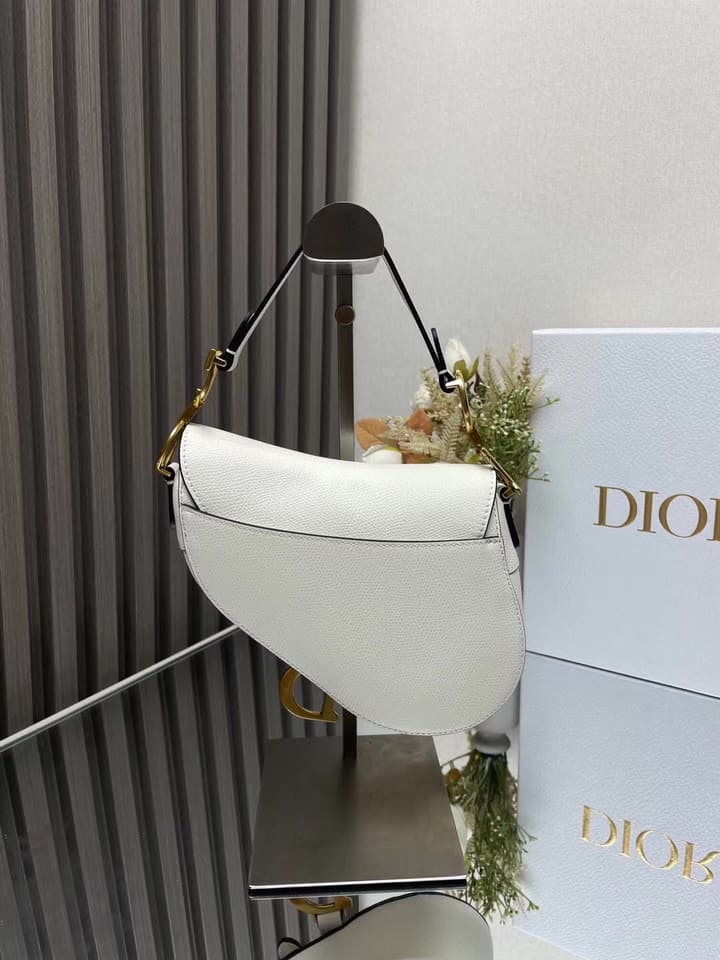 Dior Saddle Bag in Beige