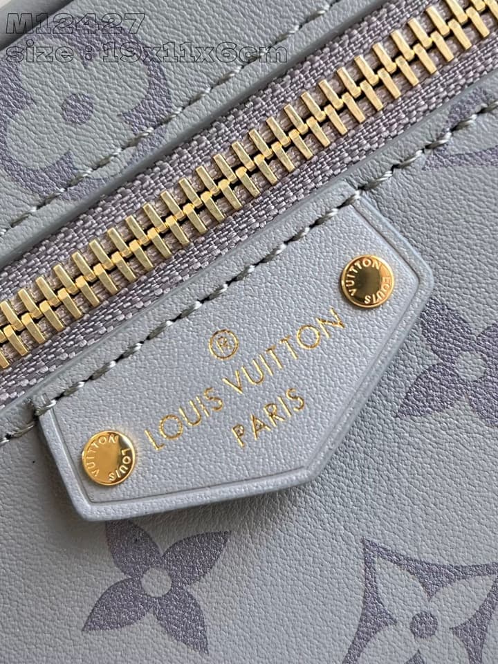 Louis Vuitton Vanity Chain Pouch Handbag – Fall/Winter 2024